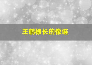 王鹤棣长的像谁