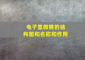 电子显微镜的结构图和名称和作用