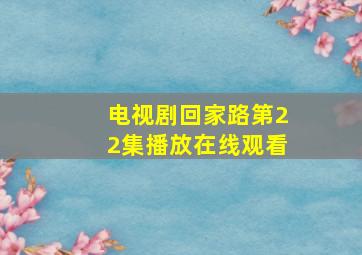 电视剧回家路第22集播放在线观看