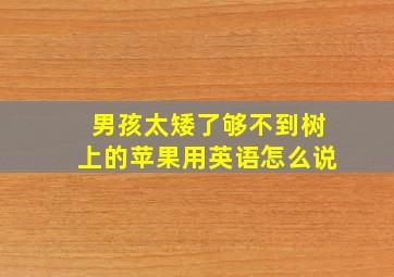 男孩太矮了够不到树上的苹果用英语怎么说