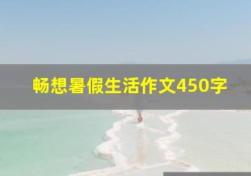 畅想暑假生活作文450字