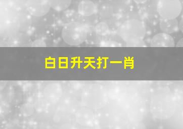 白日升天打一肖