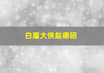 白眉大侠赵德昭