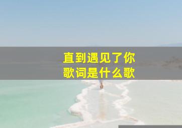 直到遇见了你歌词是什么歌