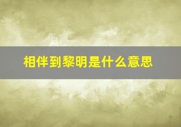 相伴到黎明是什么意思