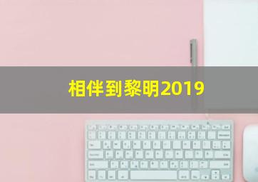 相伴到黎明2019