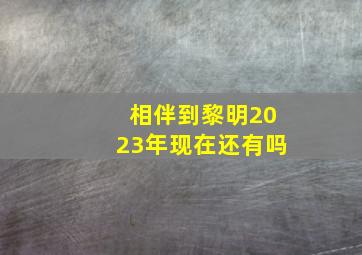 相伴到黎明2023年现在还有吗