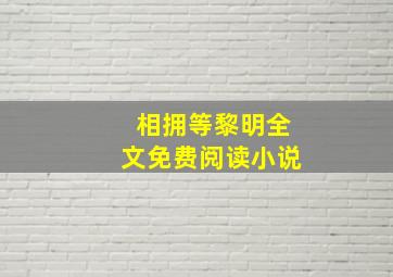 相拥等黎明全文免费阅读小说