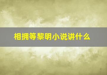 相拥等黎明小说讲什么