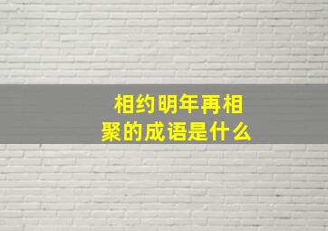 相约明年再相聚的成语是什么