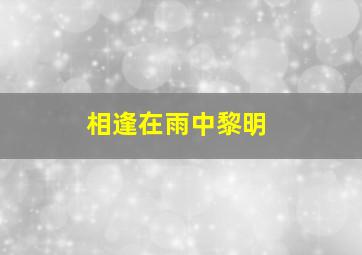 相逢在雨中黎明