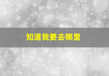 知道我要去哪里