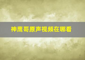 神鹰哥原声视频在哪看