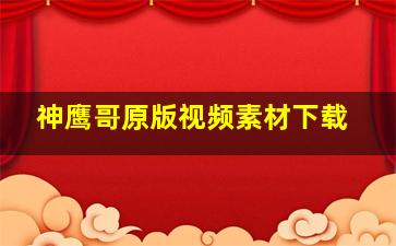 神鹰哥原版视频素材下载