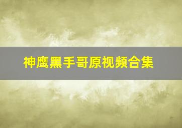 神鹰黑手哥原视频合集