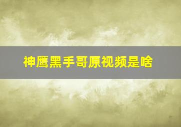 神鹰黑手哥原视频是啥