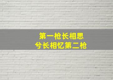 第一枪长相思兮长相忆第二枪