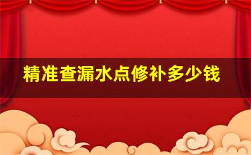 精准查漏水点修补多少钱