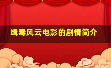 缉毒风云电影的剧情简介