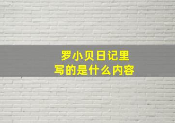 罗小贝日记里写的是什么内容