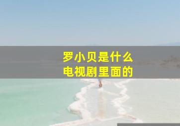 罗小贝是什么电视剧里面的