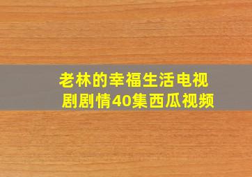 老林的幸福生活电视剧剧情40集西瓜视频