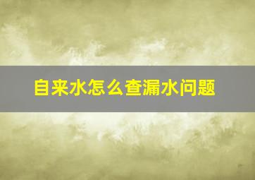 自来水怎么查漏水问题