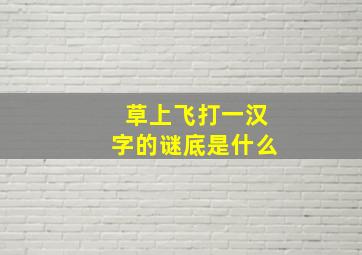 草上飞打一汉字的谜底是什么