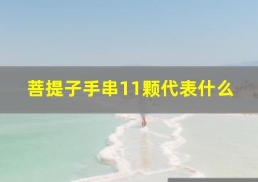 菩提子手串11颗代表什么