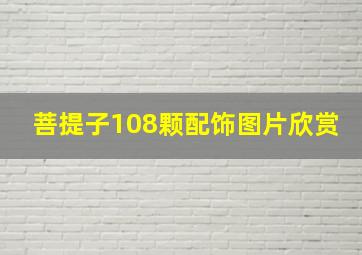 菩提子108颗配饰图片欣赏