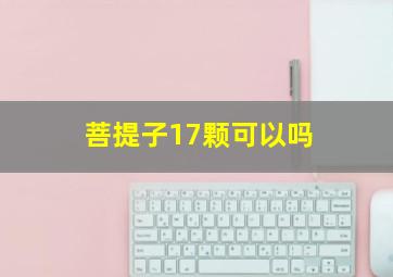 菩提子17颗可以吗