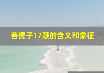 菩提子17颗的含义和象征