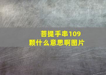 菩提手串109颗什么意思啊图片