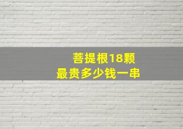 菩提根18颗最贵多少钱一串