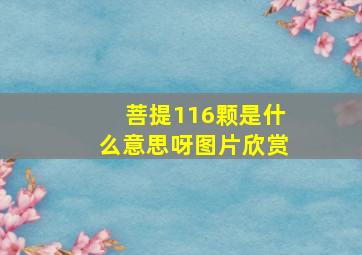 菩提116颗是什么意思呀图片欣赏