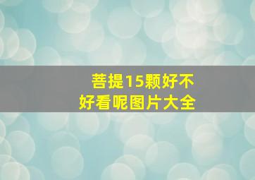 菩提15颗好不好看呢图片大全