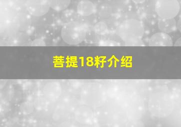 菩提18籽介绍