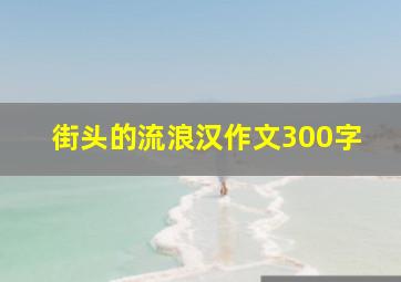 街头的流浪汉作文300字