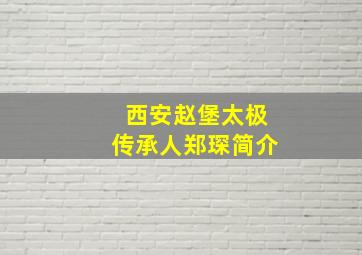 西安赵堡太极传承人郑琛简介