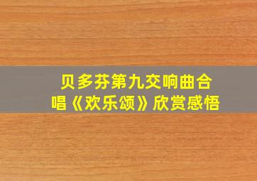 贝多芬第九交响曲合唱《欢乐颂》欣赏感悟