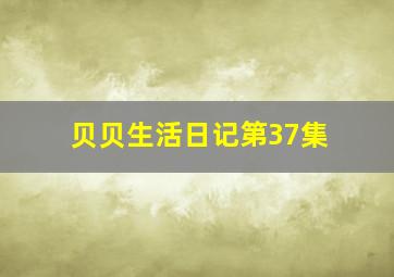 贝贝生活日记第37集