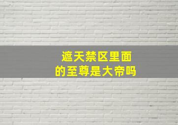 遮天禁区里面的至尊是大帝吗