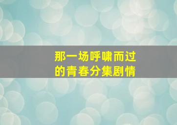 那一场呼啸而过的青春分集剧情