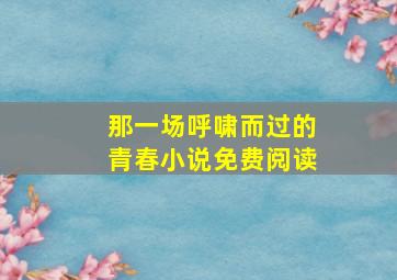 那一场呼啸而过的青春小说免费阅读