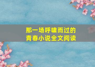 那一场呼啸而过的青春小说全文阅读