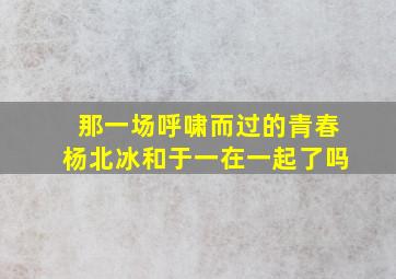 那一场呼啸而过的青春杨北冰和于一在一起了吗