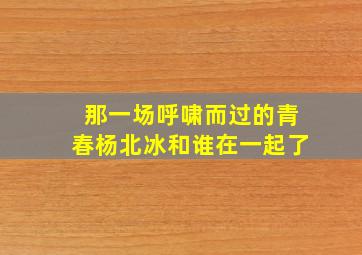 那一场呼啸而过的青春杨北冰和谁在一起了