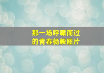 那一场呼啸而过的青春杨毅图片