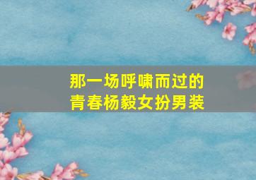 那一场呼啸而过的青春杨毅女扮男装