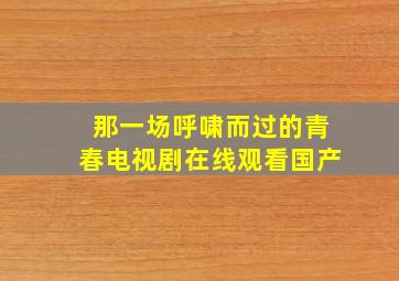 那一场呼啸而过的青春电视剧在线观看国产